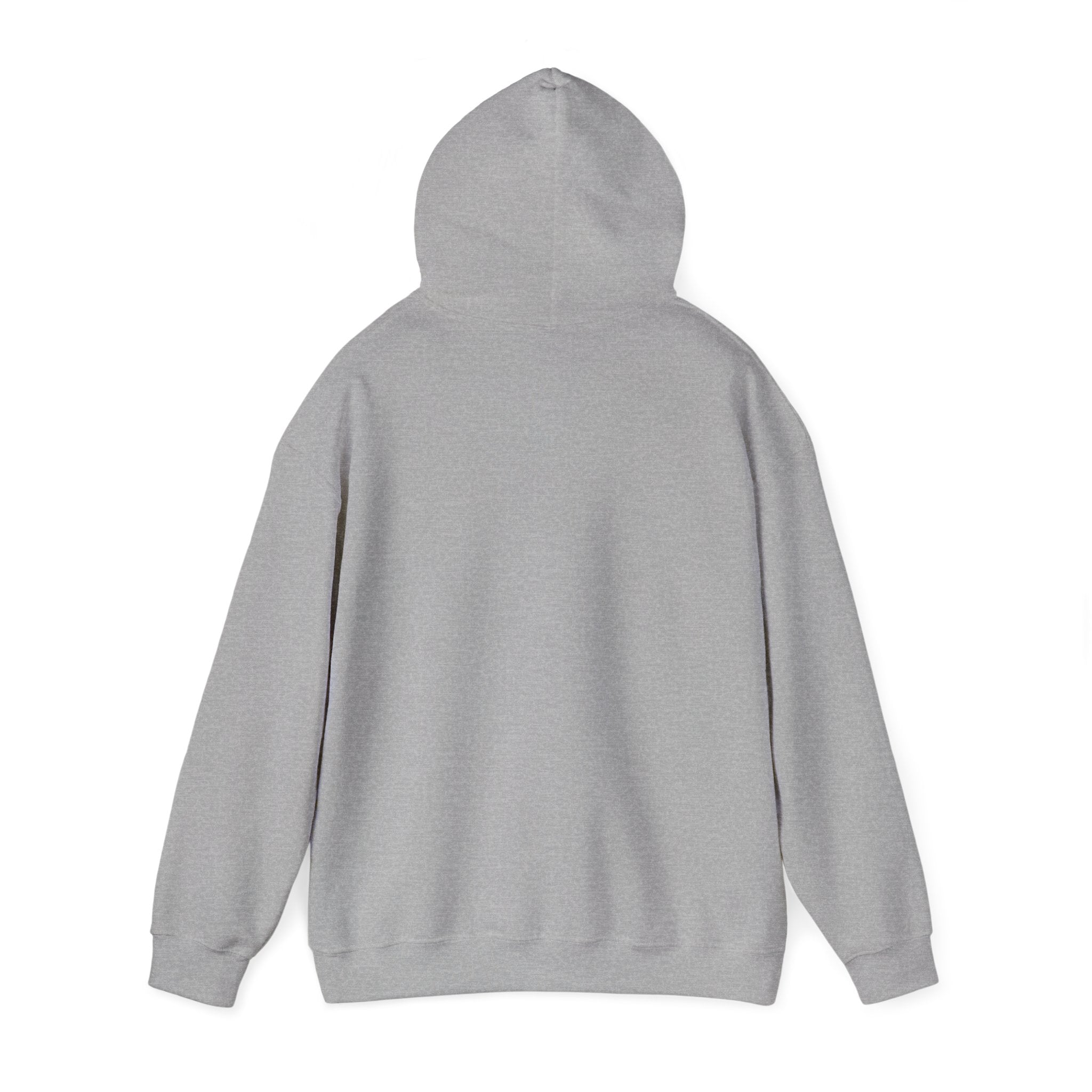 I Saw That Hoodie | Christian Meme, Vintage Jesus Graphic, Retro Camp Tee Style